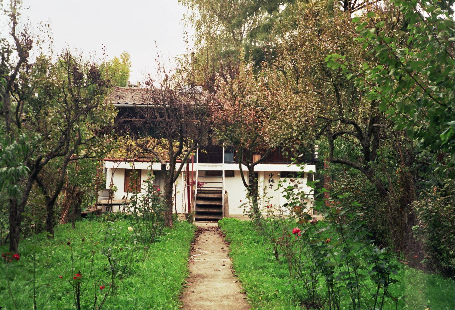 Vladimir Bjeličić, „BELA STENA_prevođenje sećanja“, 2021