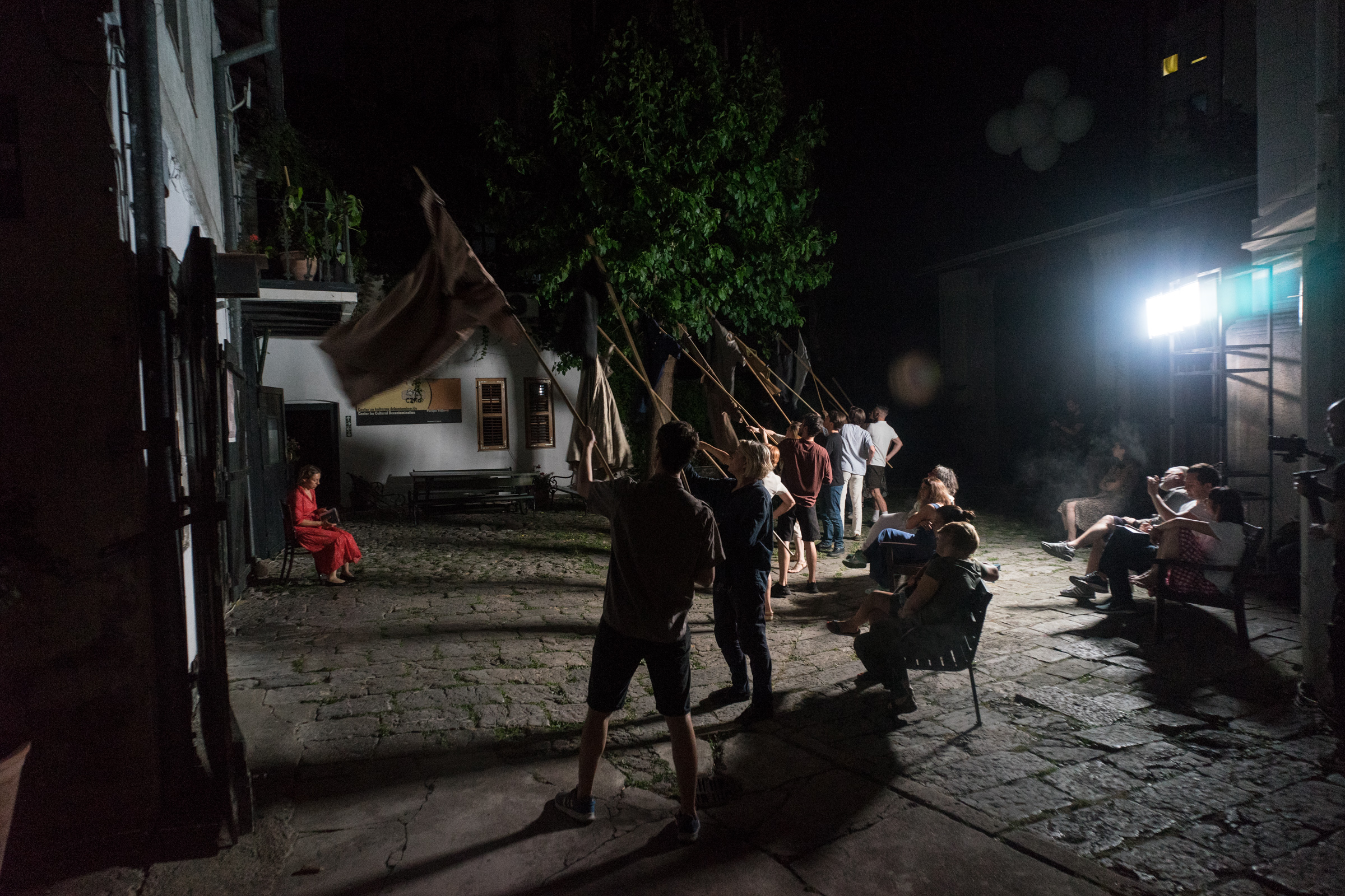 Srđan Veljković - Hamlet u dvorištu