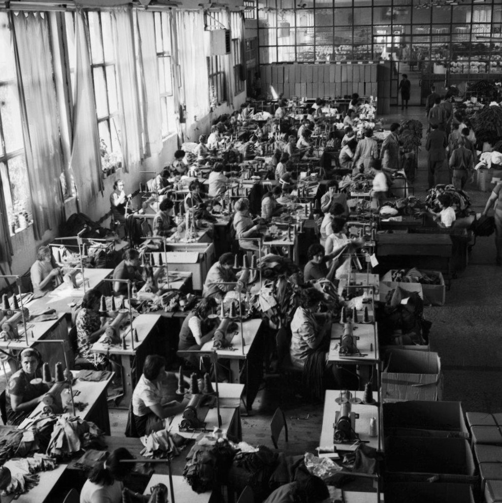 Timočanka, proizvodni pogon, 1977.