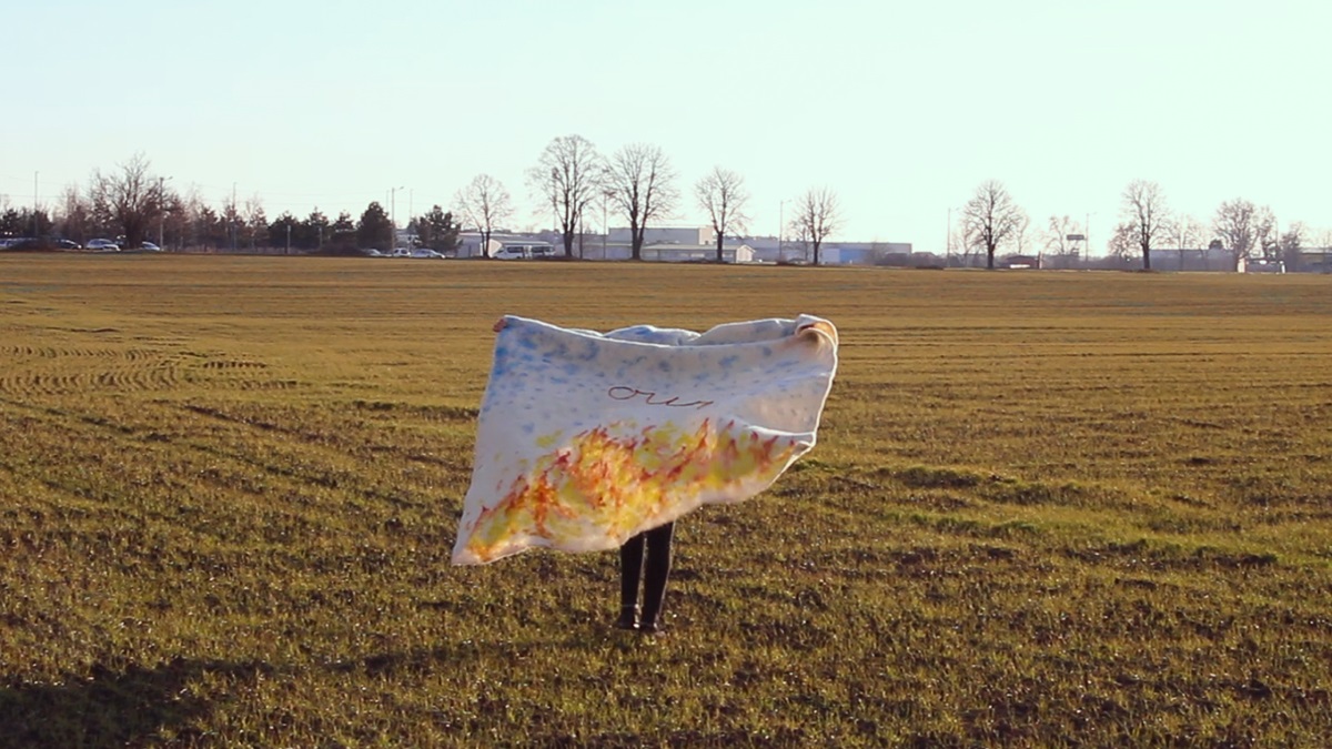 Vesna Vesić Putanjom dalekom, usamljeni šum se zapleo u travu, video stil.